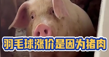 为什么猪肉降价会导致羽毛球价格暴涨?