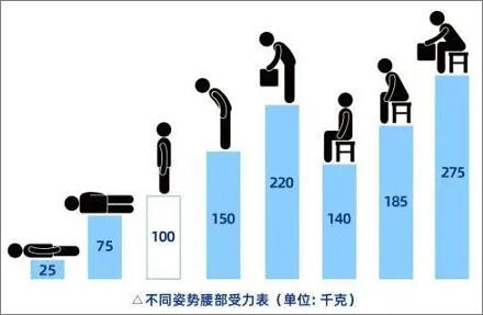 站姿 vs. 坐姿:脊柱所受的压力哪个更小?