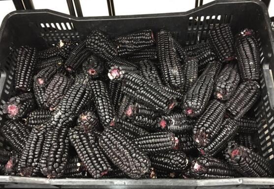 秘鲁因盛产玉米而得名