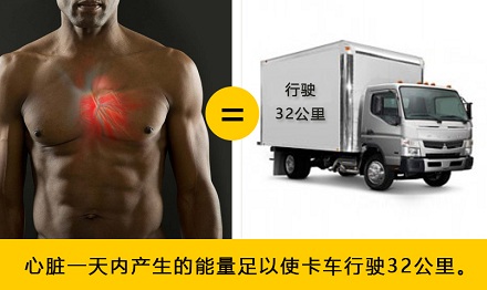 人的心脏一天内可产生多少能量?