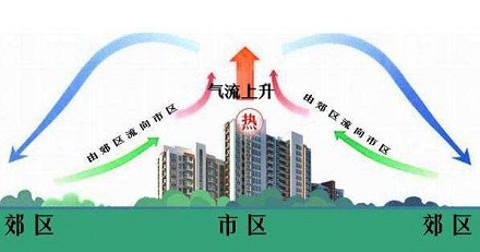 为什么城市里的温度要比近郊高?