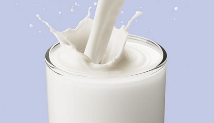 男人的乳房也可以产奶?