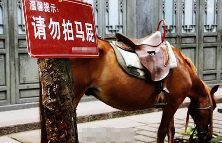 「拍马屁」是怎么来的?
