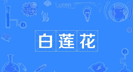 说一个人「白莲花」是什么意思?
