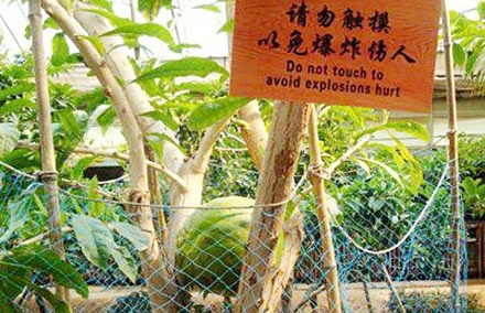 如何一眼看破传销骗局?