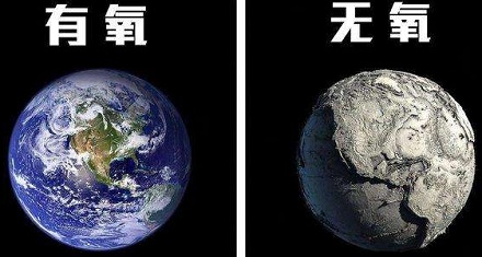如果氧气消失5秒,世界会怎么样?