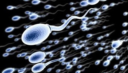 说话音调高的男性精子数量多?