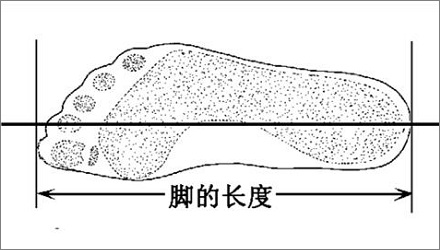 为什么用「foot(脚)」来表示英尺?