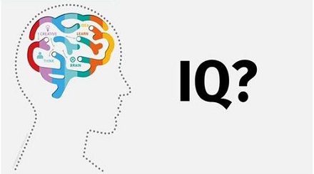 人类的智商最早是如何计算的?