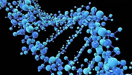 人和人之间有99.9%是相同的?