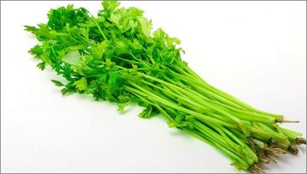 芹菜叶和芹菜茎哪个营养价值更高?