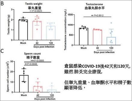 感染了奥秘克戎蛋蛋会变小?