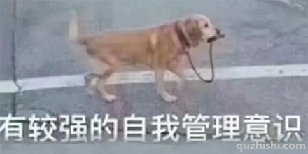 「殖人」究竟是一群什么样的人?