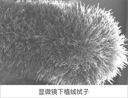 新冠核酸检测用的不是「棉签」?
